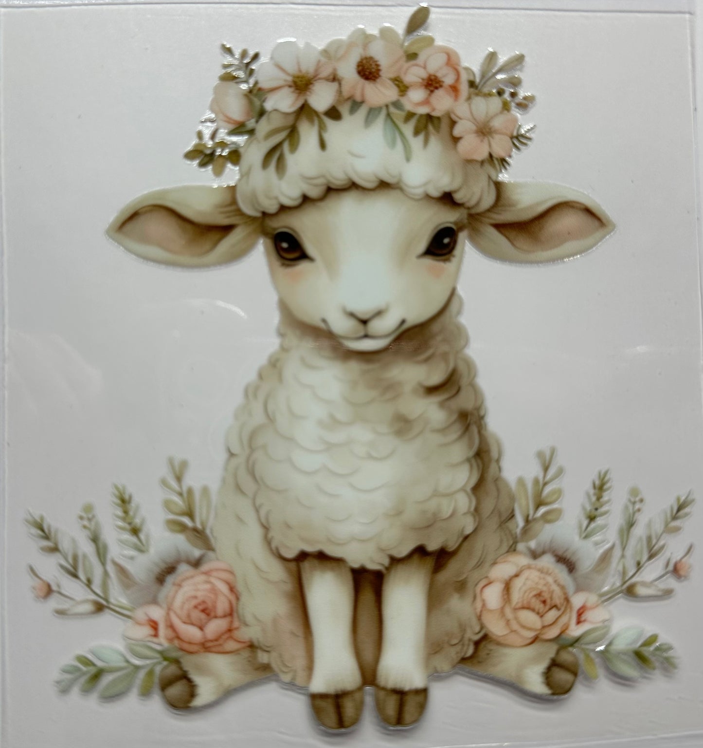 #326